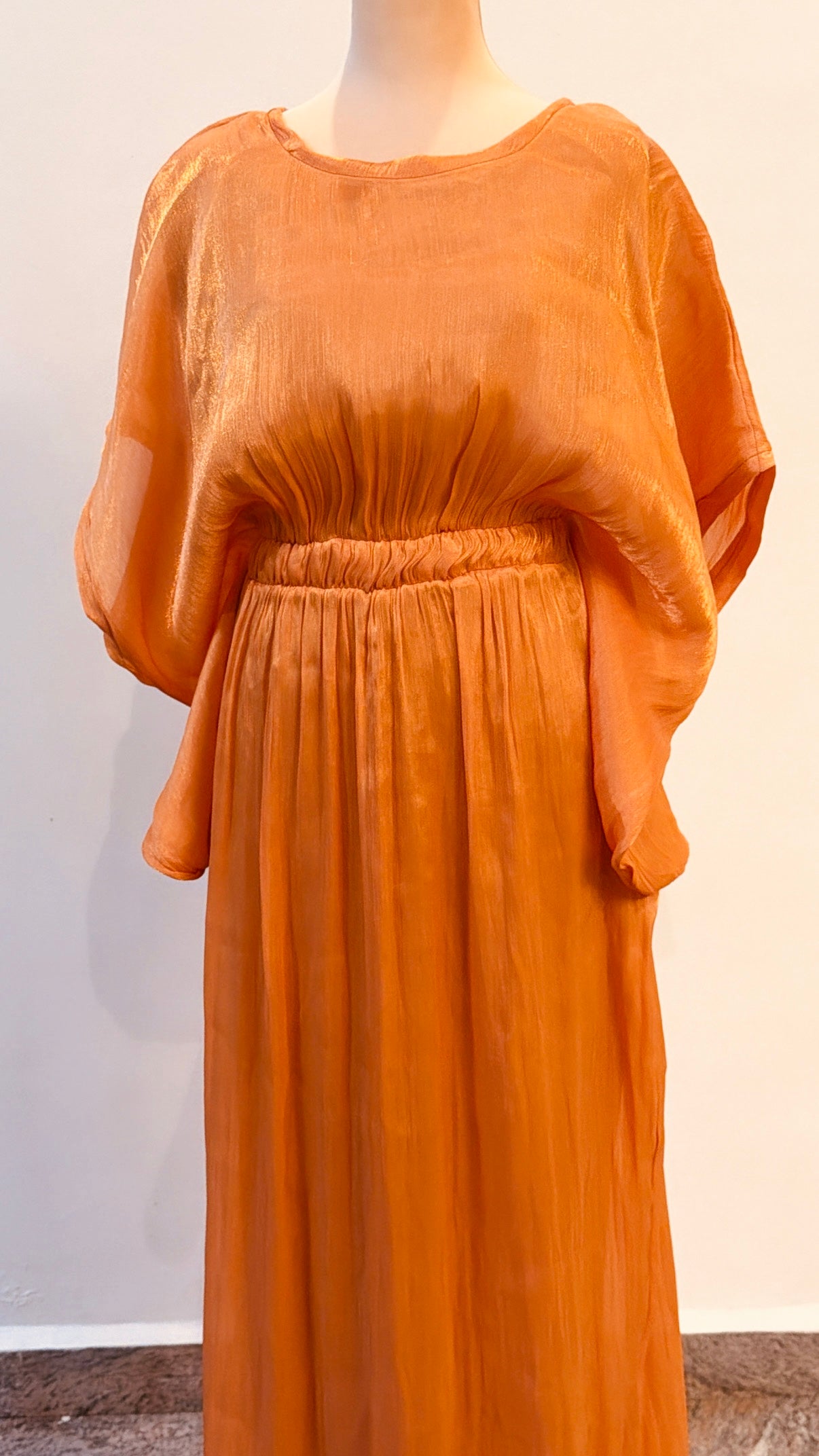 Sunset Apricot
